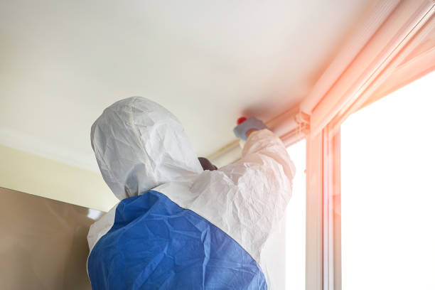 Best Forensic Mold Investigation in Prairie View, TX