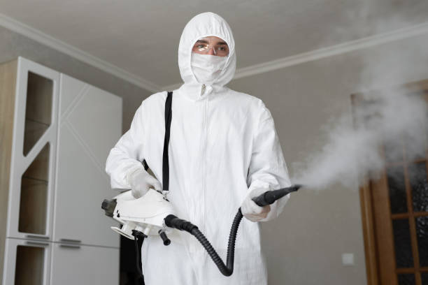 Best Biohazard Mold Removal in Prairie View, TX